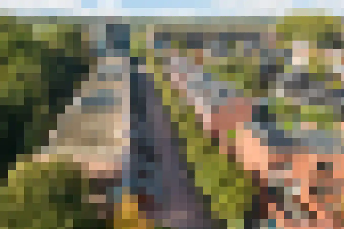 Zenegroen 54 Arnhem thumbnail 46