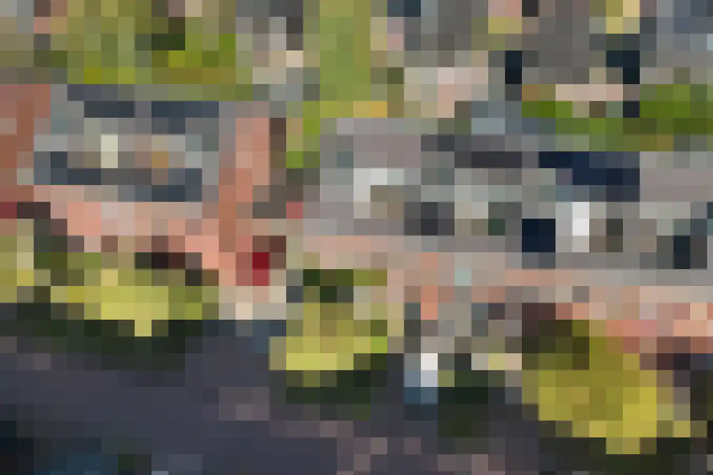 Zenegroen 54 Arnhem thumbnail 47