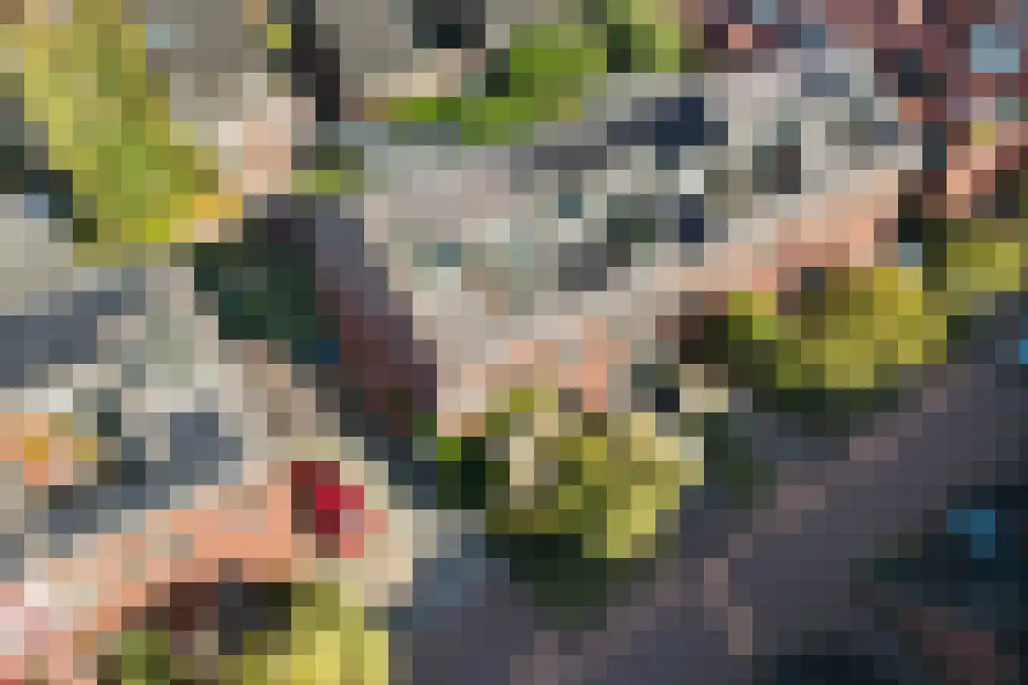 Zenegroen 54 Arnhem thumbnail 48