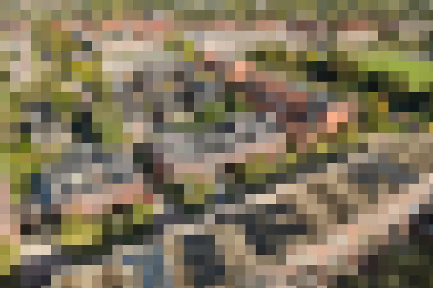 Zenegroen 54 Arnhem thumbnail 49
