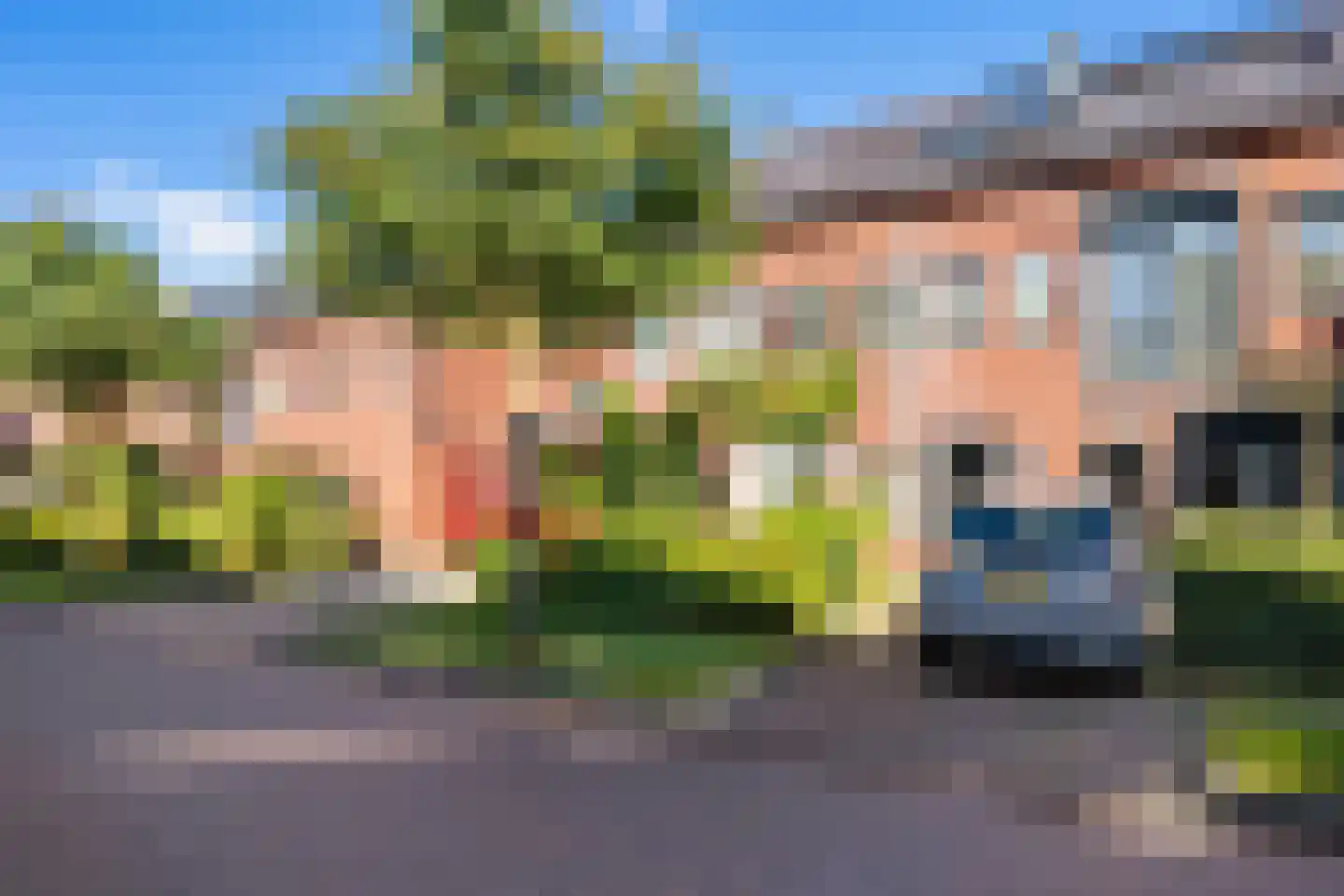 Zenegroen 54 Arnhem thumbnail 5