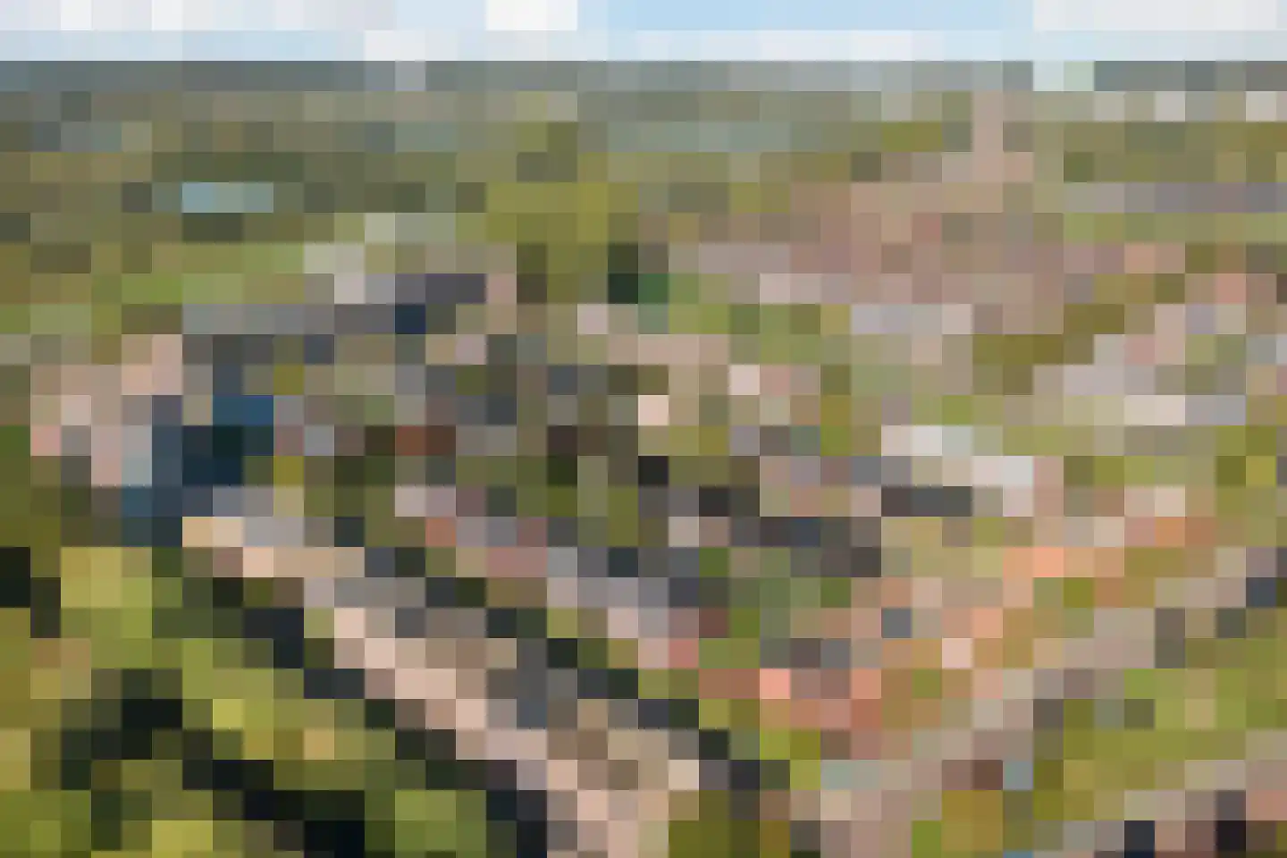 Zenegroen 54 Arnhem thumbnail 51