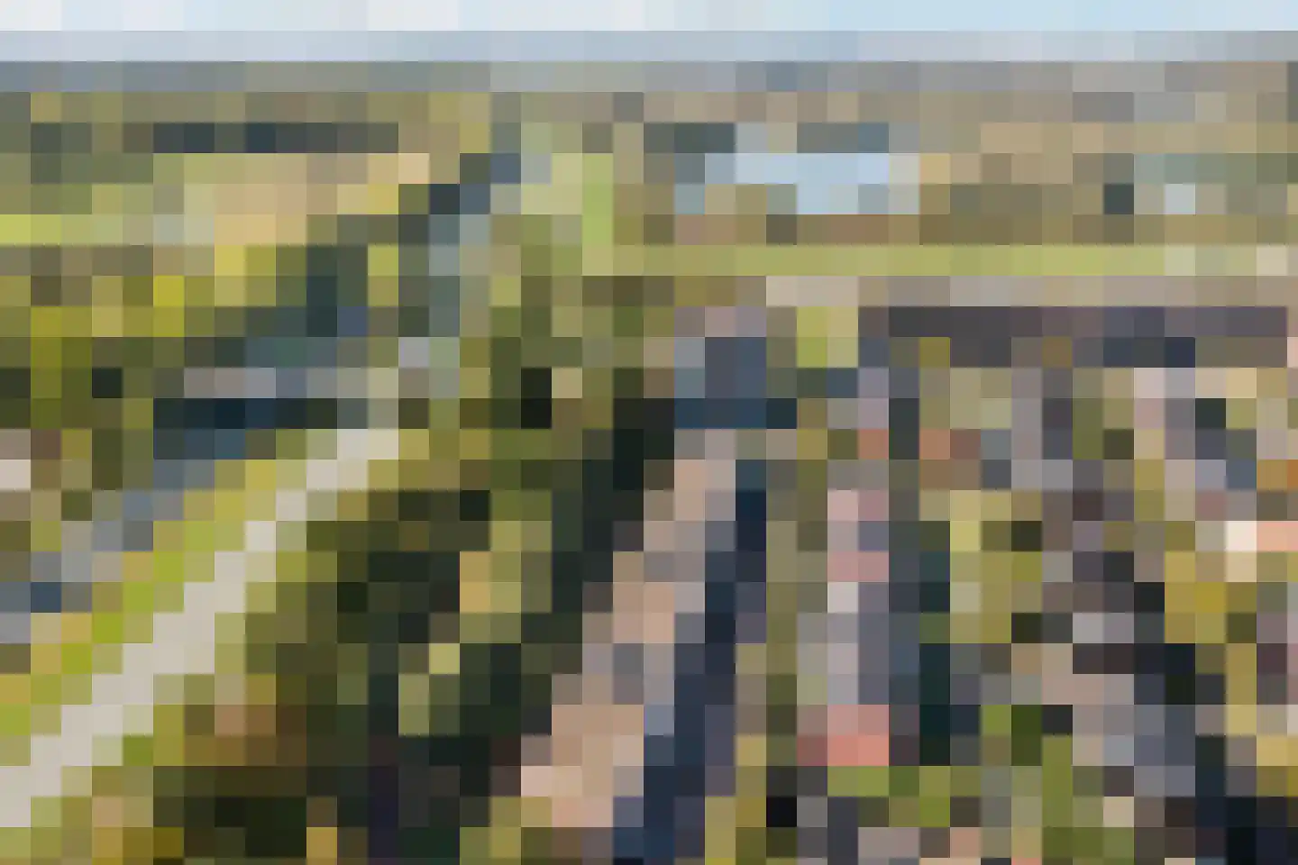 Zenegroen 54 Arnhem thumbnail 52