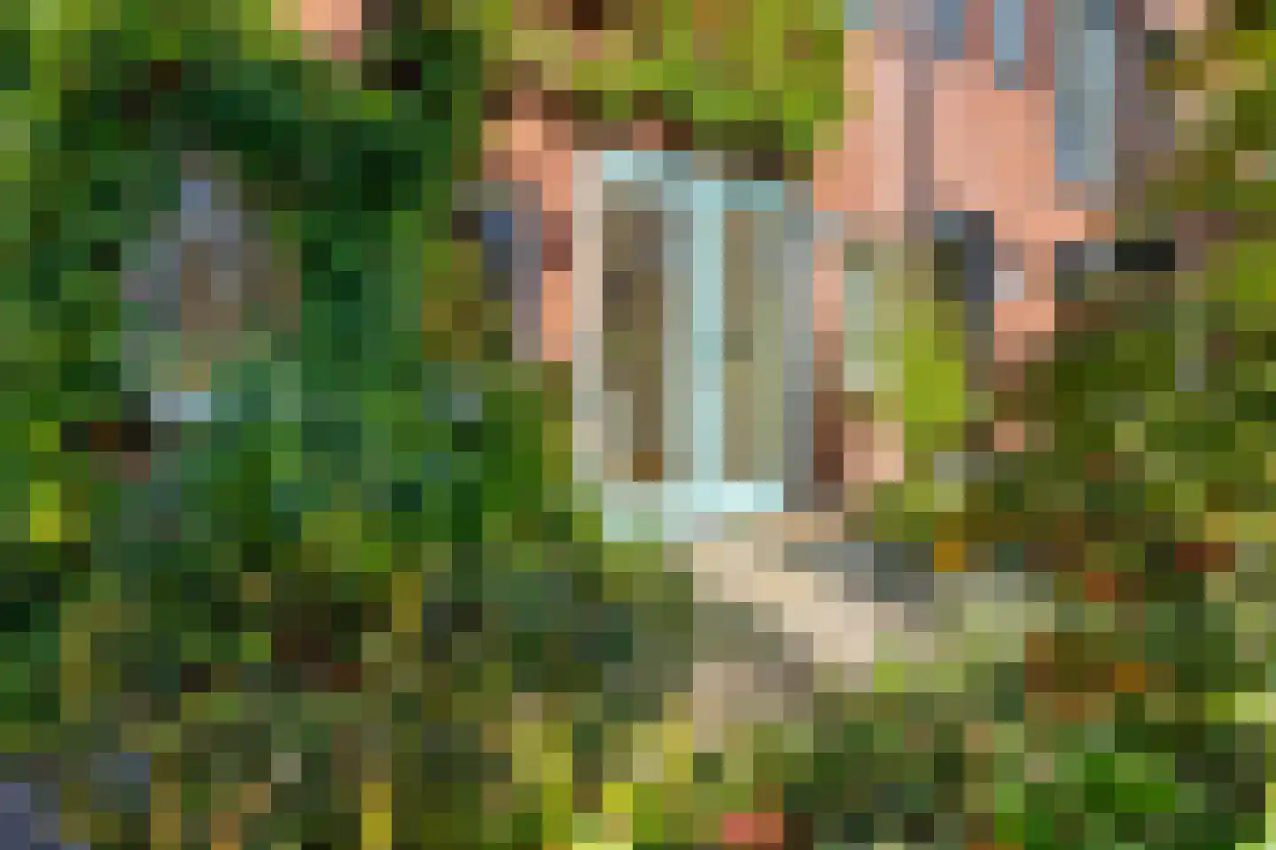 Zenegroen 54 Arnhem thumbnail 6