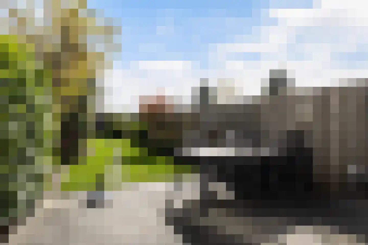 Zenegroen 59 Leeuwarden thumbnail 16