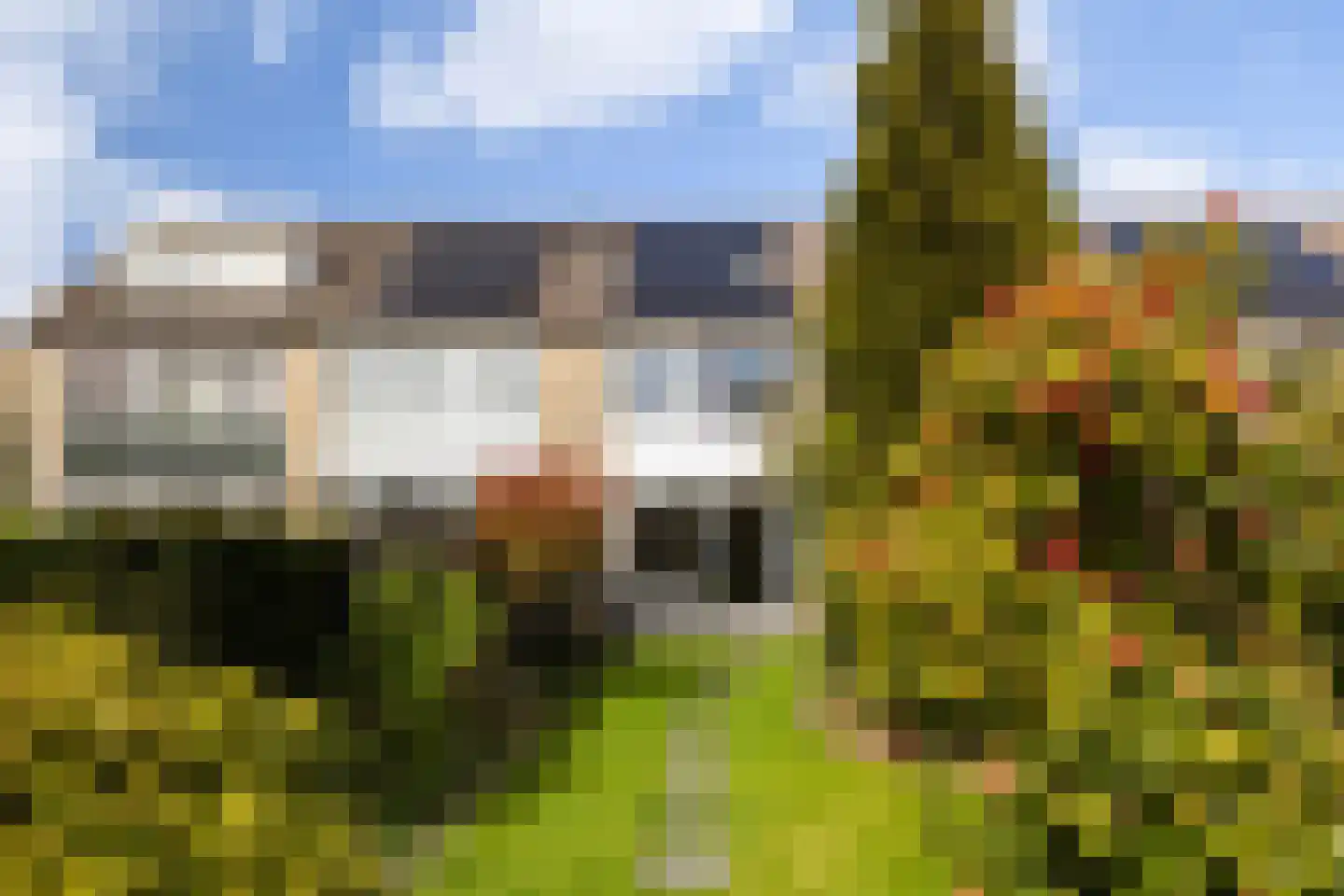 Zenegroen 59 Leeuwarden thumbnail 18