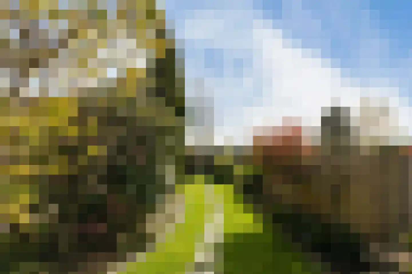 Zenegroen 59 Leeuwarden thumbnail 21