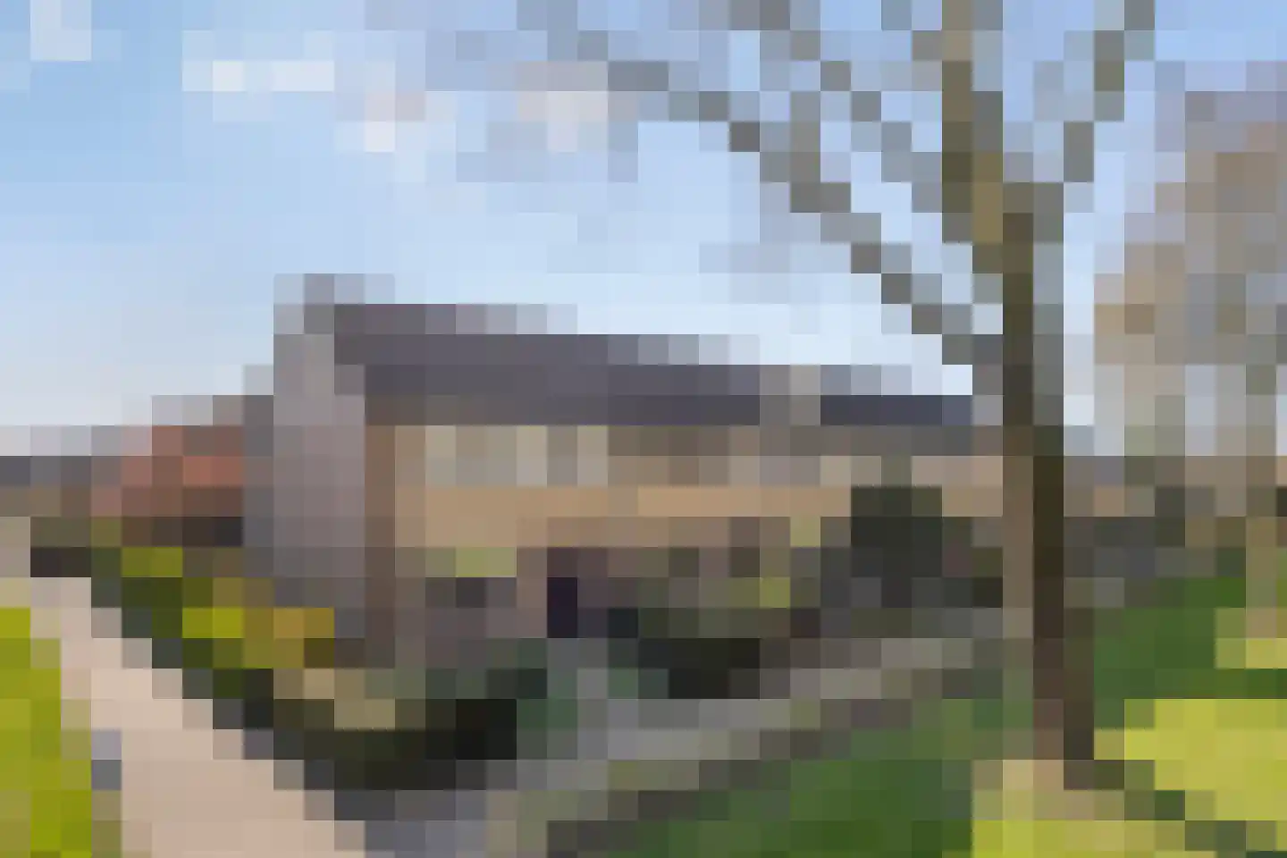 Zenegroen 6 dans Kampen