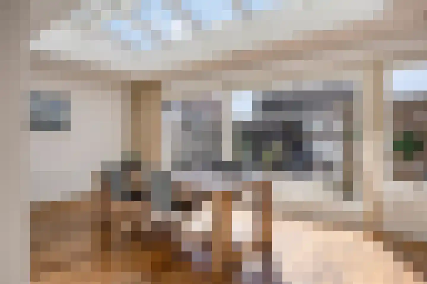Zenegroen 6 Kampen thumbnail 17