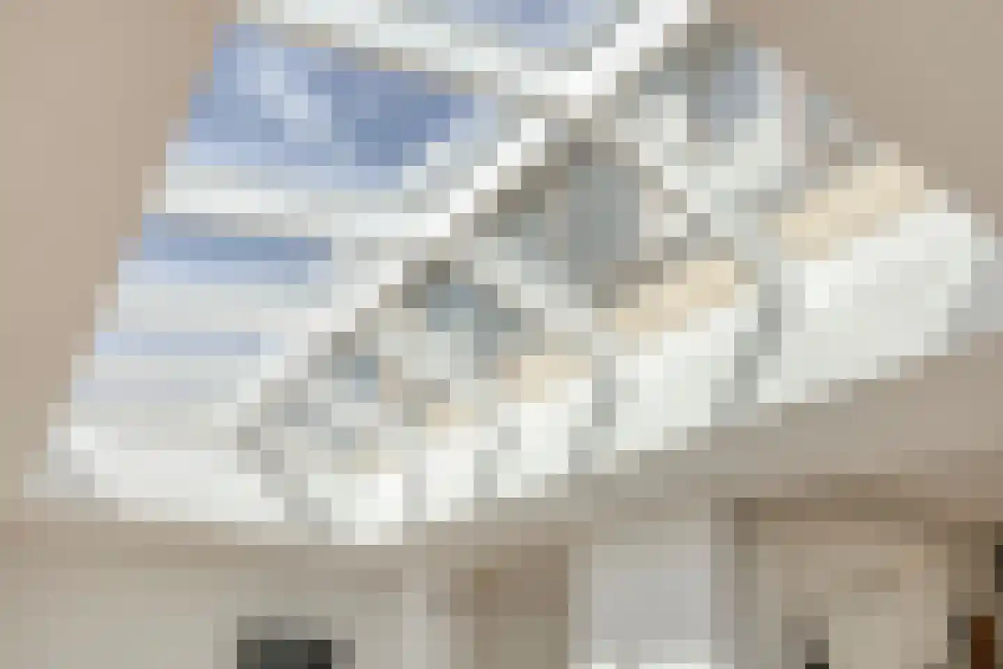 Zenegroen 6 Kampen thumbnail 23