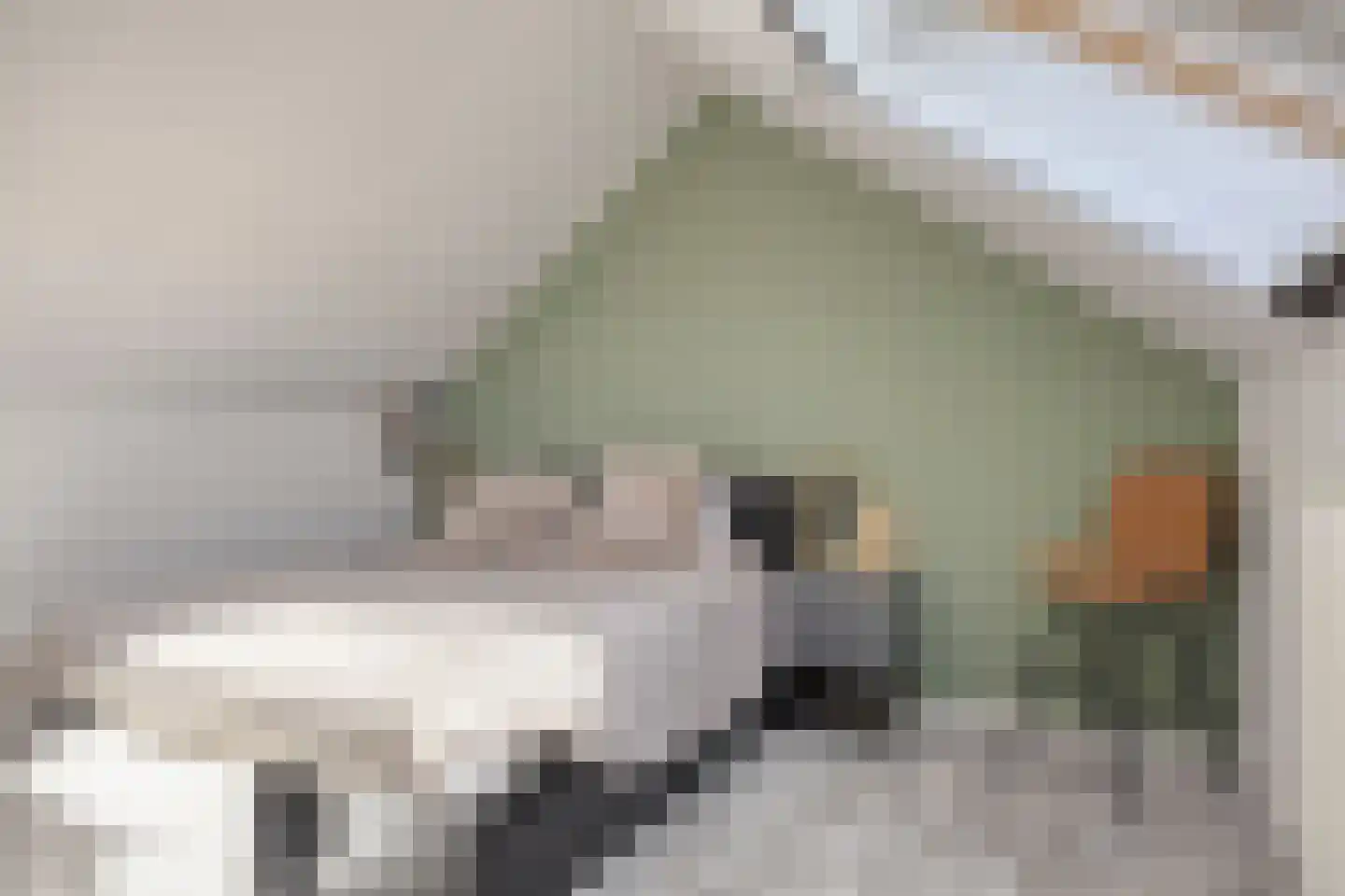 Zenegroen 6 Kampen thumbnail 34