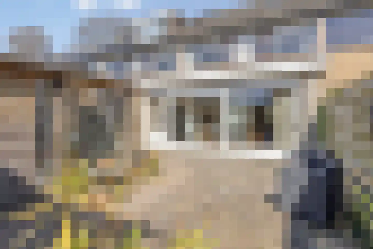 Zenegroen 6 Kampen thumbnail 37