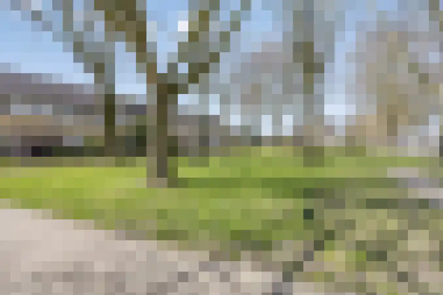 Zenegroen 6 Kampen thumbnail 40