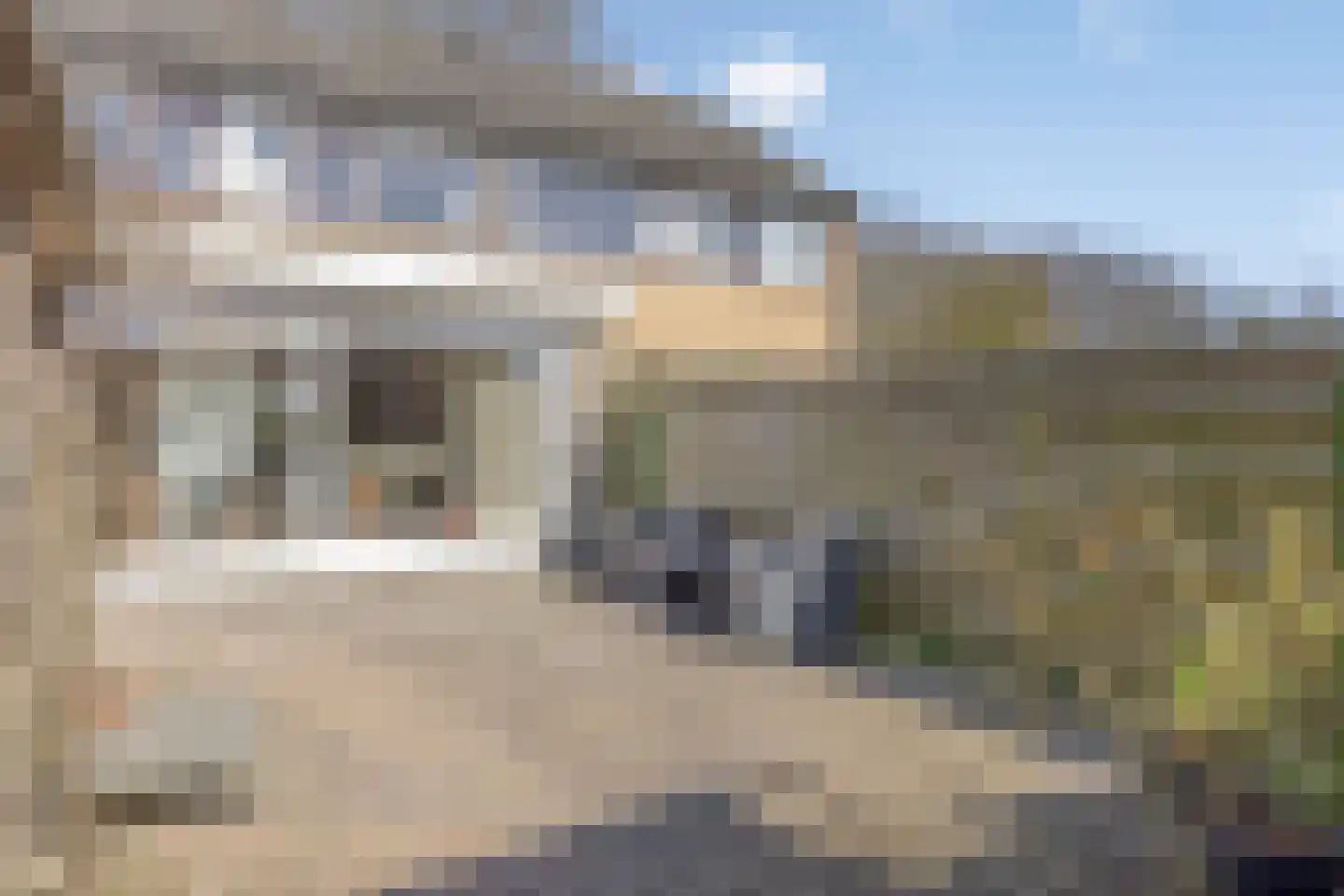 Zenegroen 6 Kampen thumbnail 6