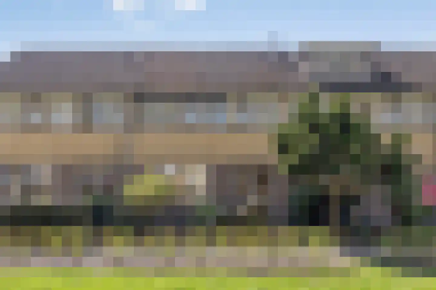 Zenegroen 6 Kampen thumbnail 9