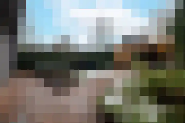 Zenegroen 62 Arnhem thumbnail 26