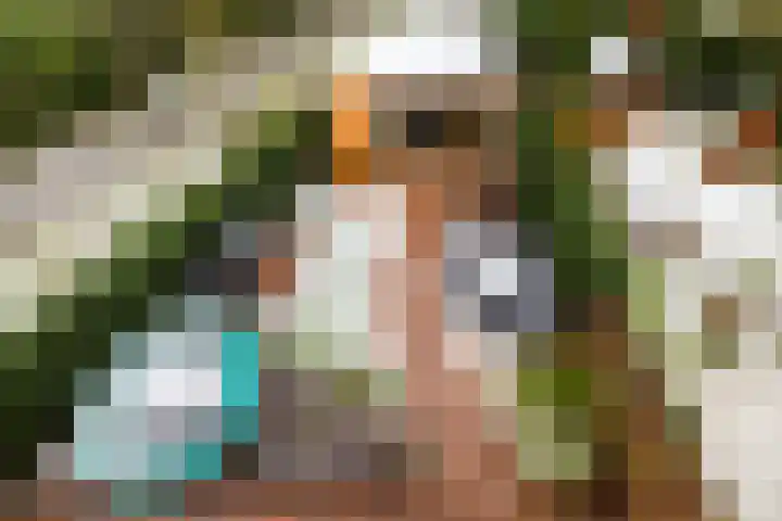 Zenegroen 62 Arnhem thumbnail 4