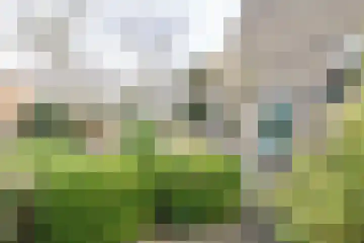 Zenegroen 66 Leeuwarden thumbnail 49