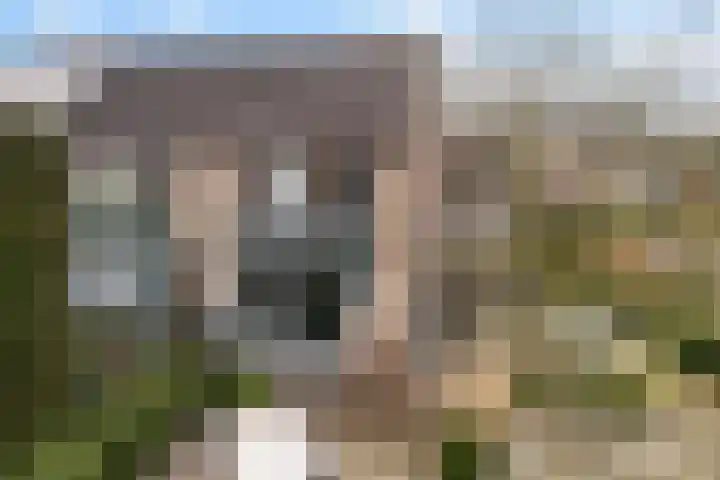 Zenegroen 66 Leeuwarden thumbnail 69