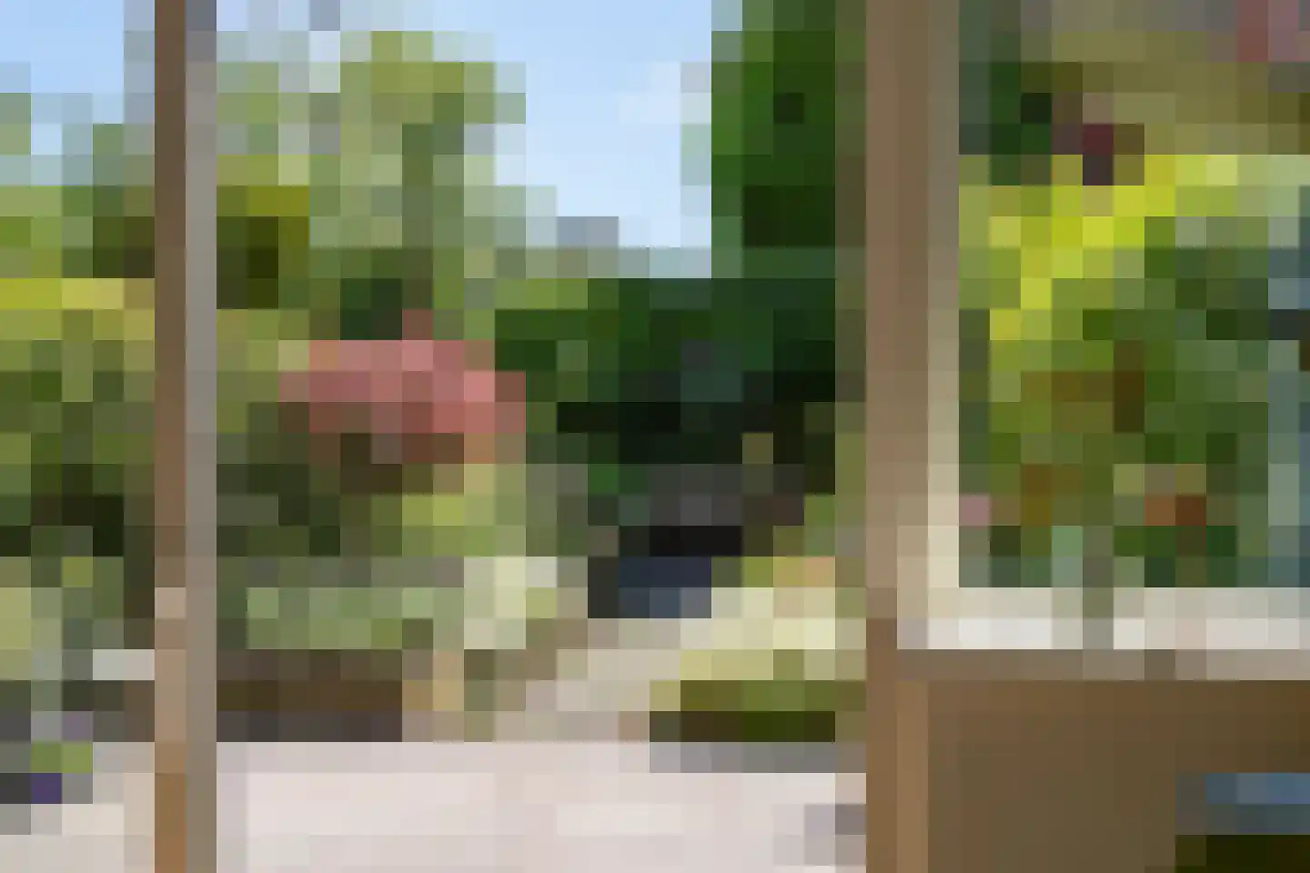 Zenegroen 77 Leeuwarden thumbnail 38
