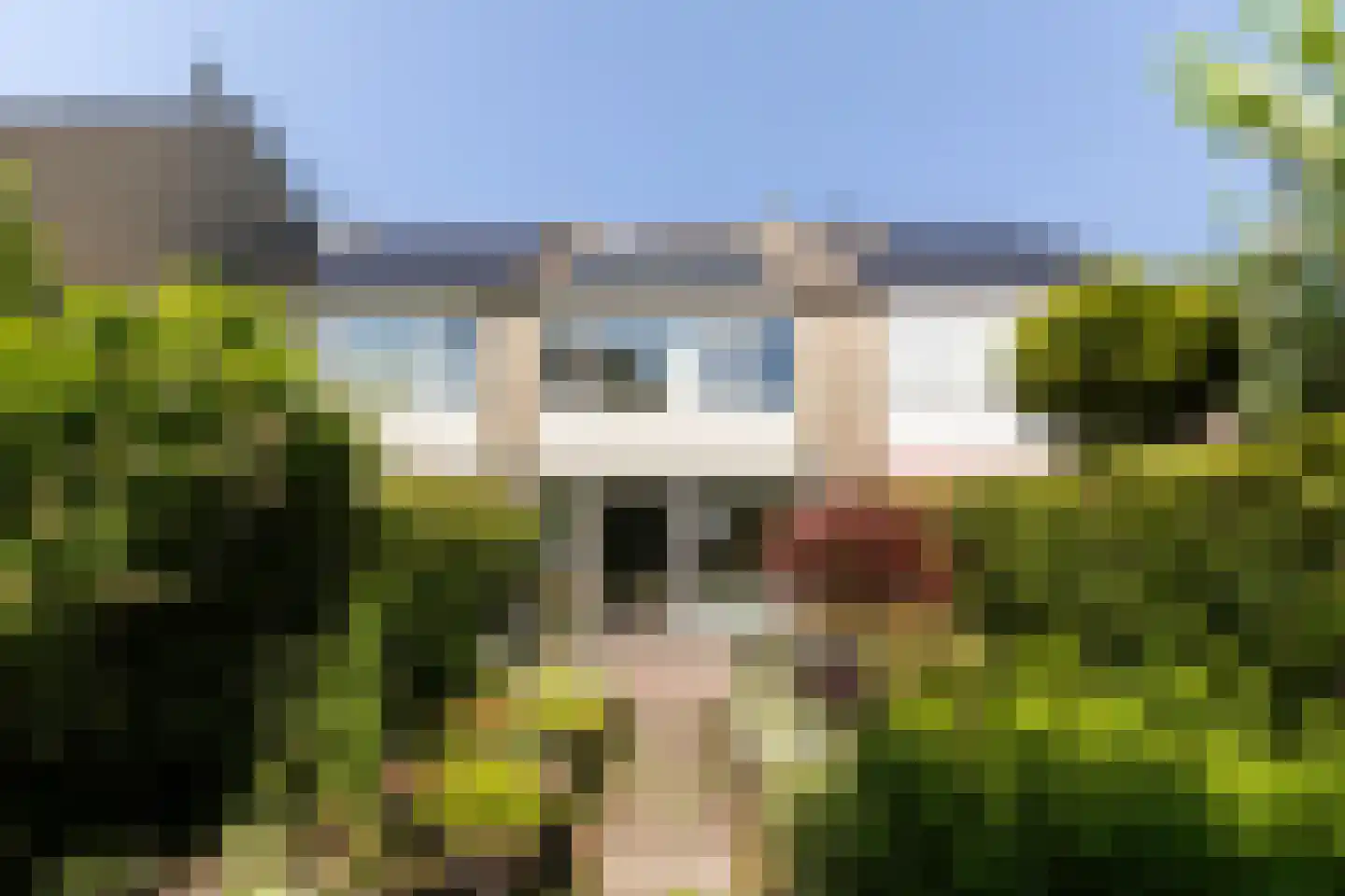 Zenegroen 77 Leeuwarden thumbnail 42