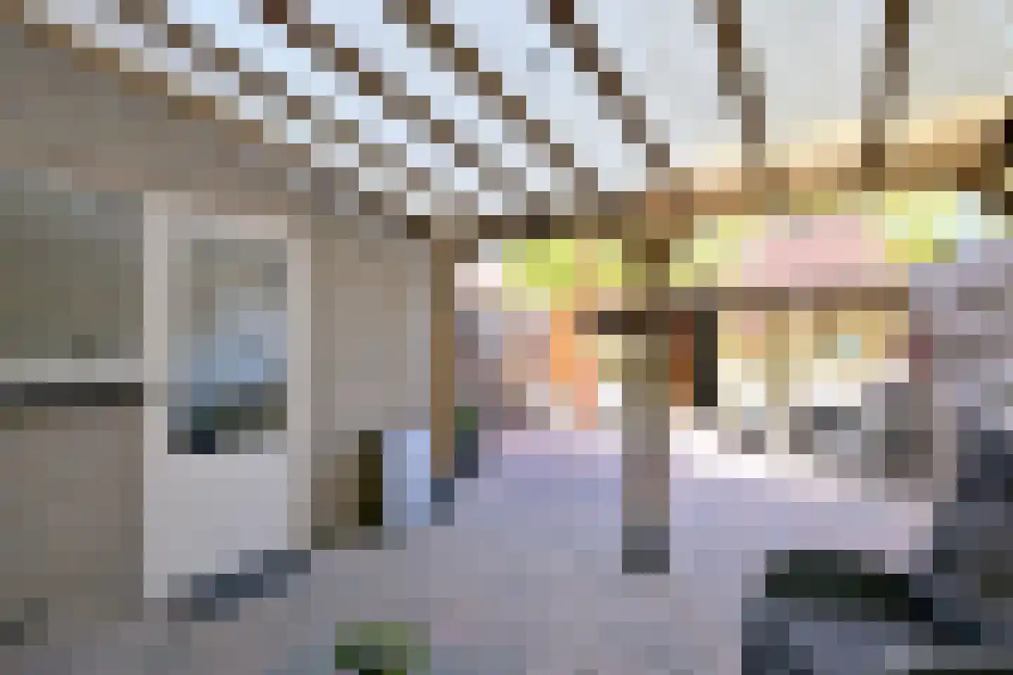Zenegroen 8 Deventer thumbnail 11