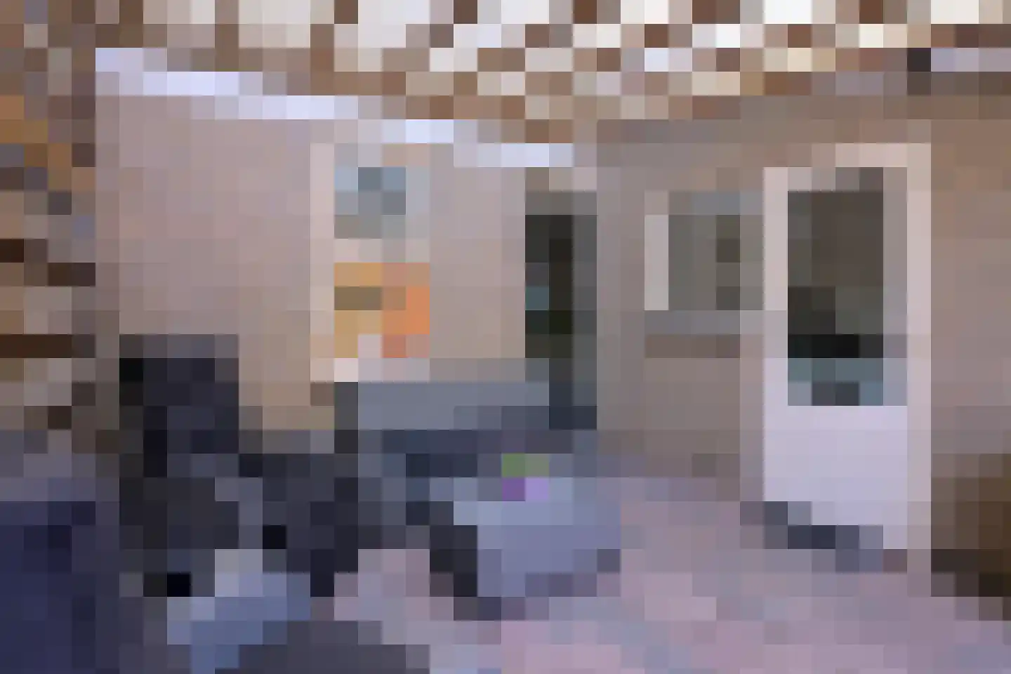 Zenegroen 8 Deventer thumbnail 16