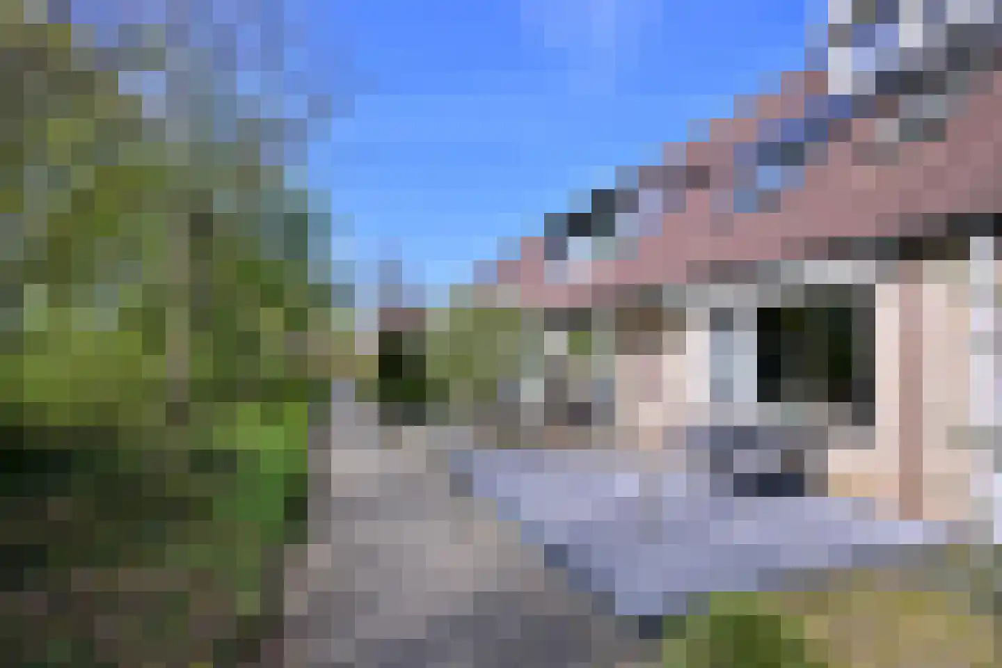 Zenegroen 8 Deventer foto 2