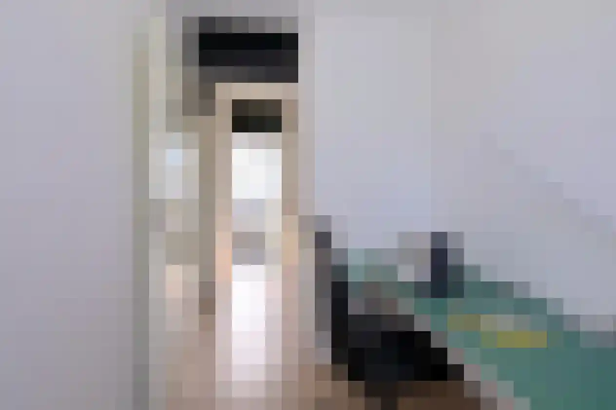 Zenegroen 8 Deventer thumbnail 33