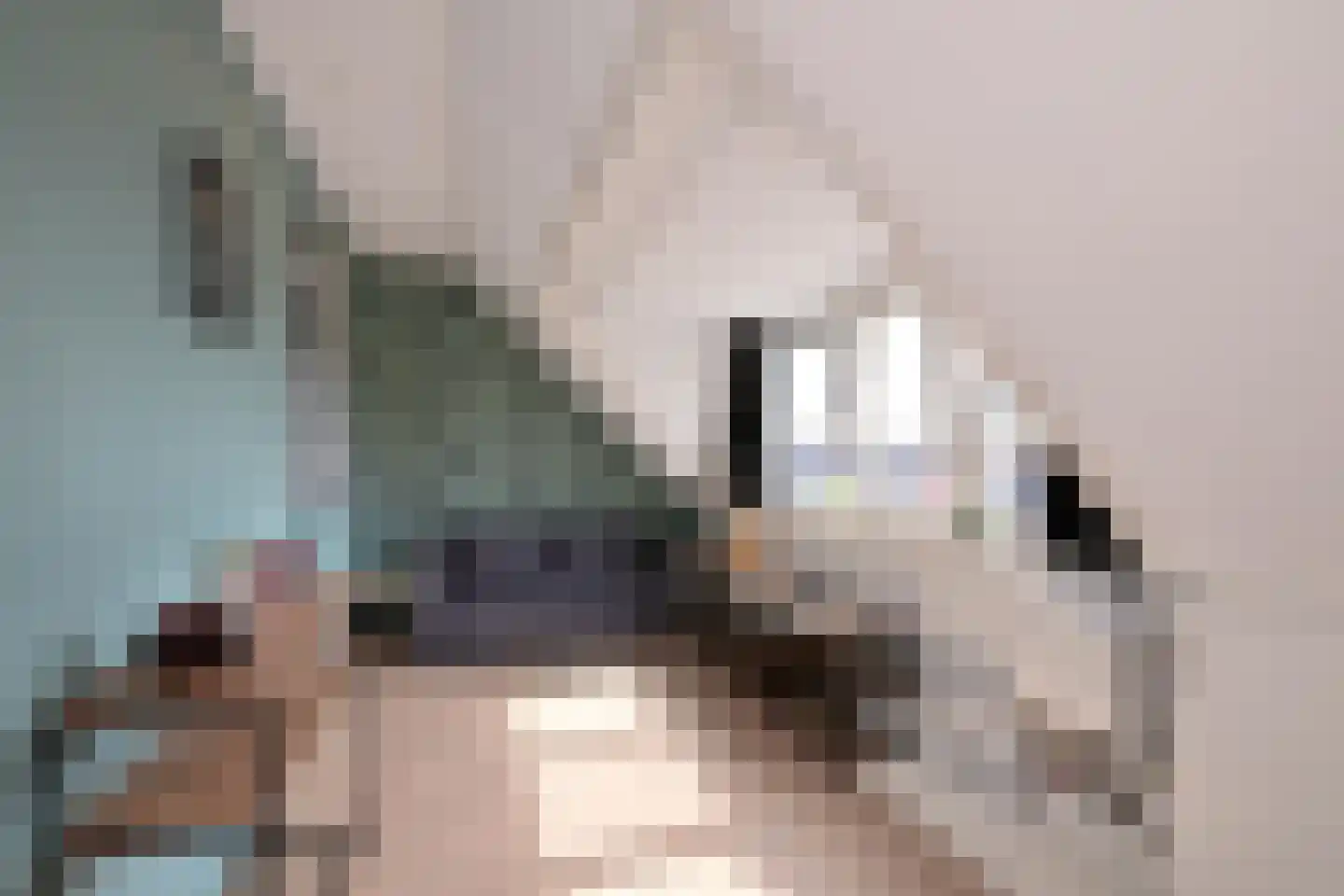 Zenegroen 8 Deventer thumbnail 35