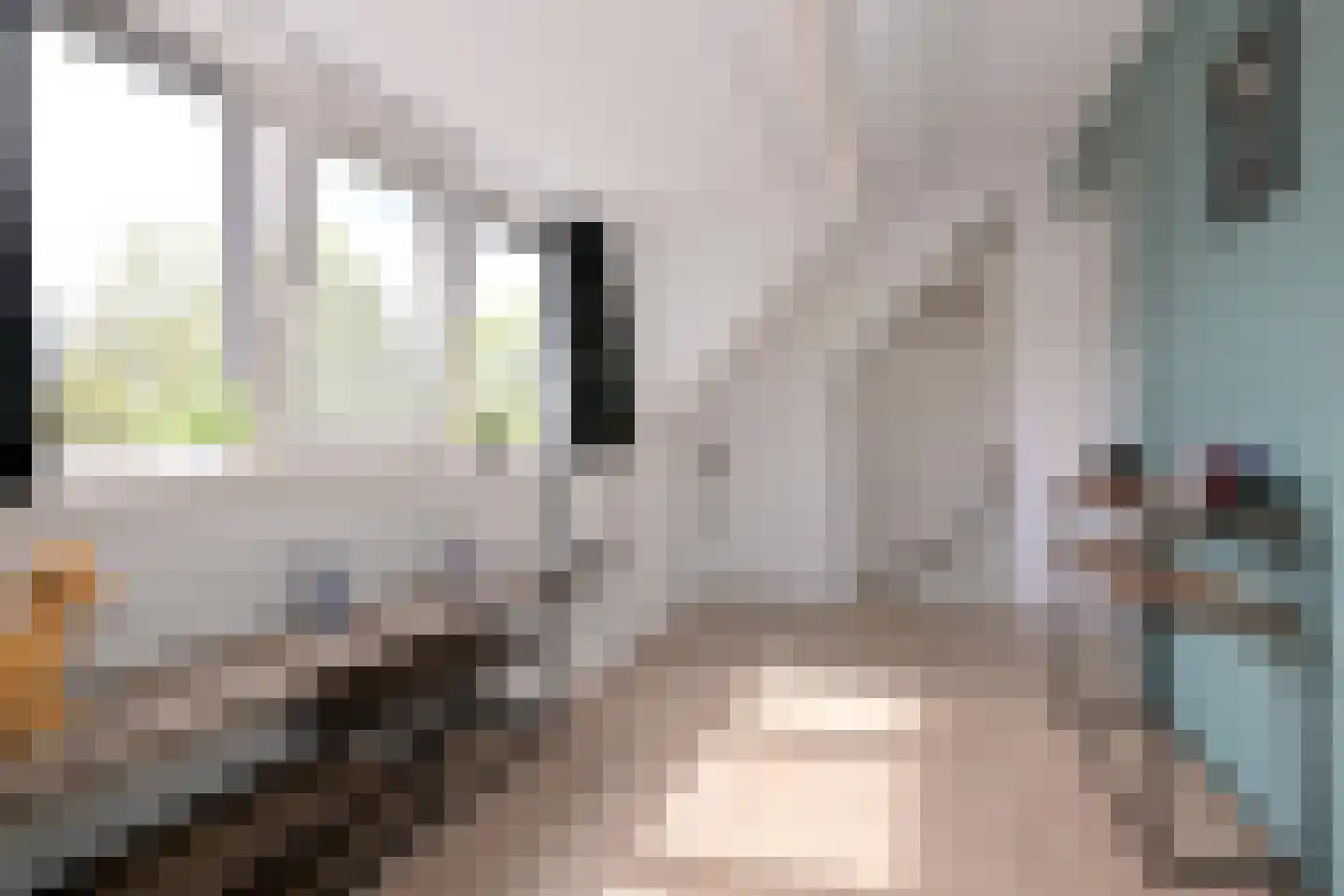 Zenegroen 8 Deventer thumbnail 39