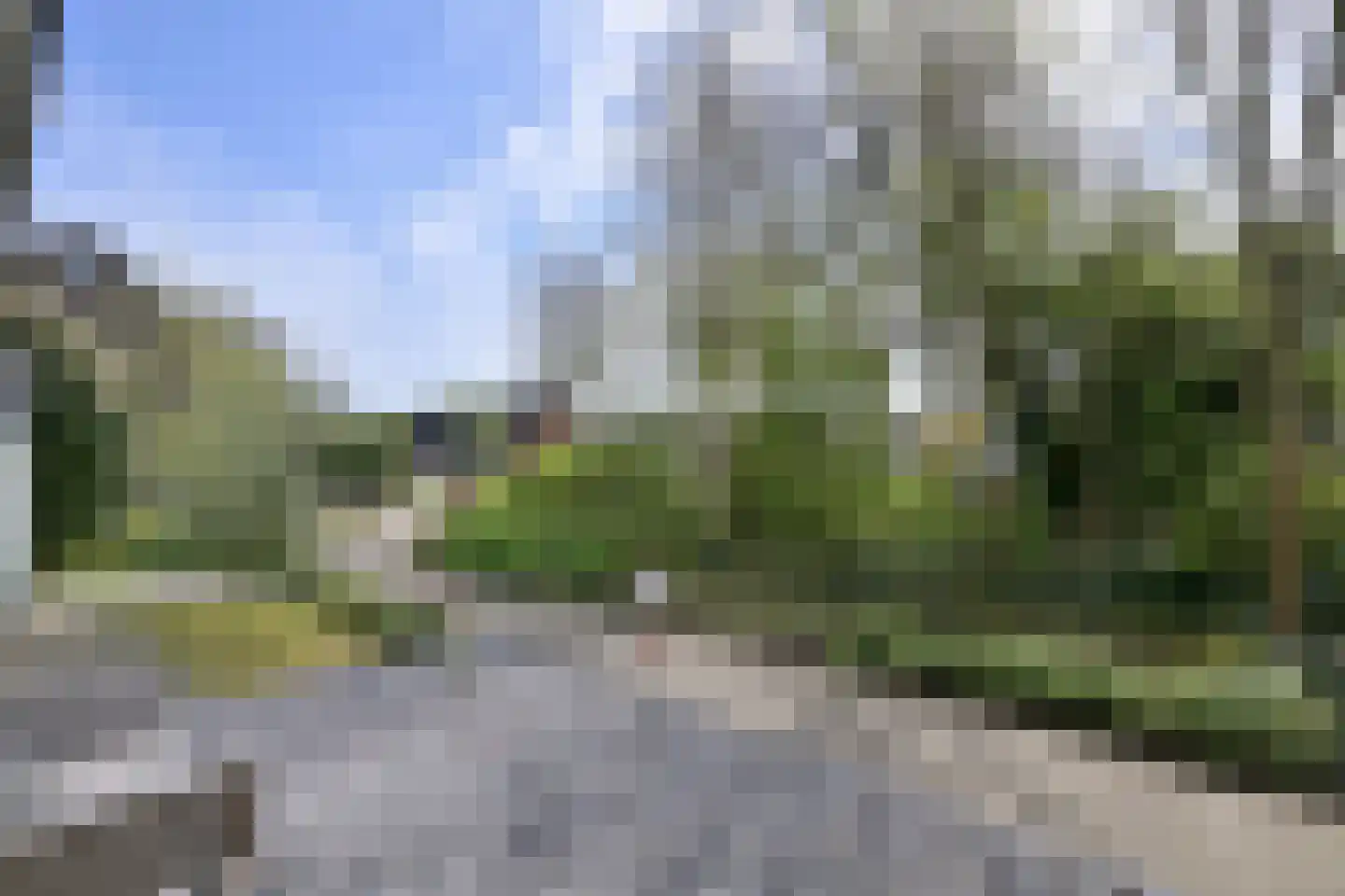 Zenegroen 8 Deventer thumbnail 43