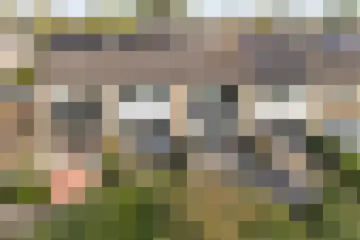Zenegroen 99 Leeuwarden thumbnail 33