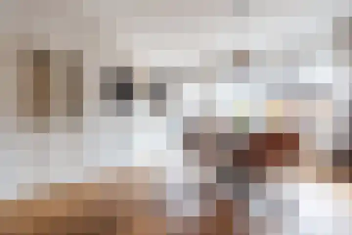 Zenithlaan 206 Hoogeveen thumbnail 11