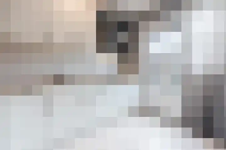 Zenithlaan 206 Hoogeveen thumbnail 14