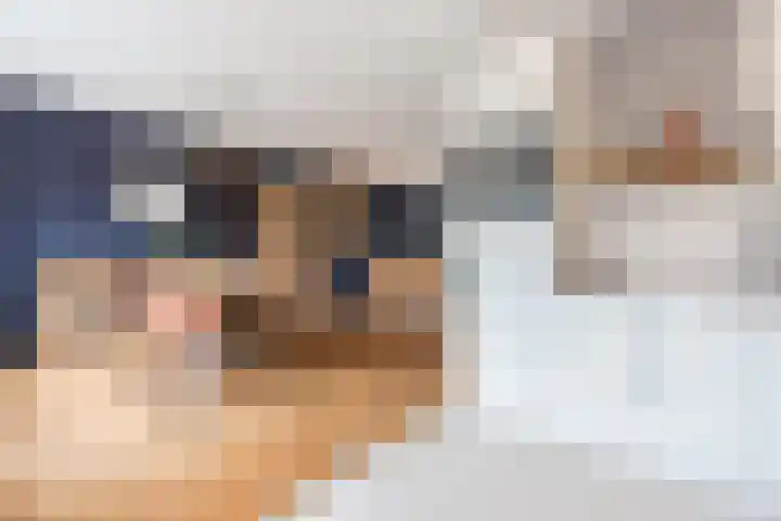 Zenithlaan 206 Hoogeveen thumbnail 15