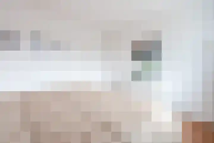 Zenithlaan 206 Hoogeveen thumbnail 20