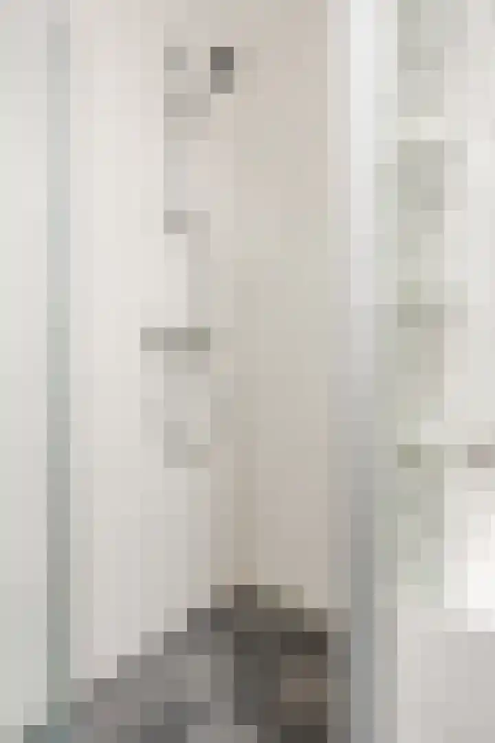 Zenithlaan 206 Hoogeveen thumbnail 30