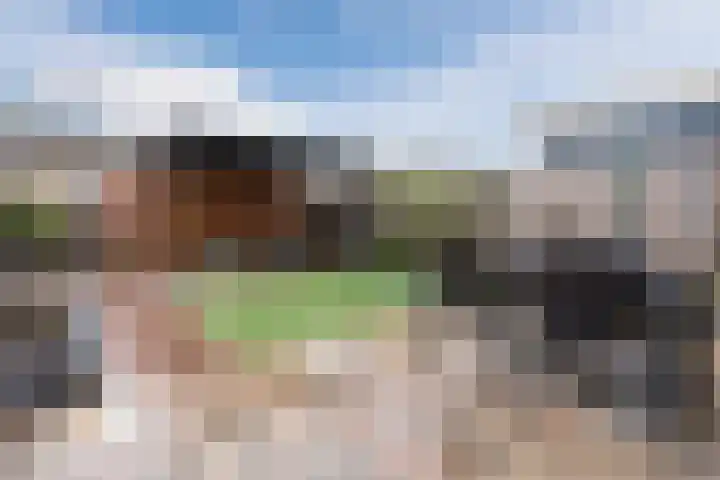 Zenithlaan 206 Hoogeveen thumbnail 32