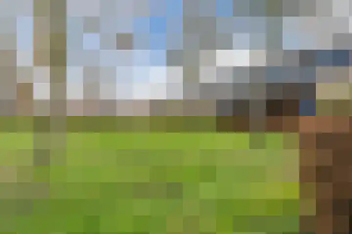 Zenithlaan 206 Hoogeveen thumbnail 38