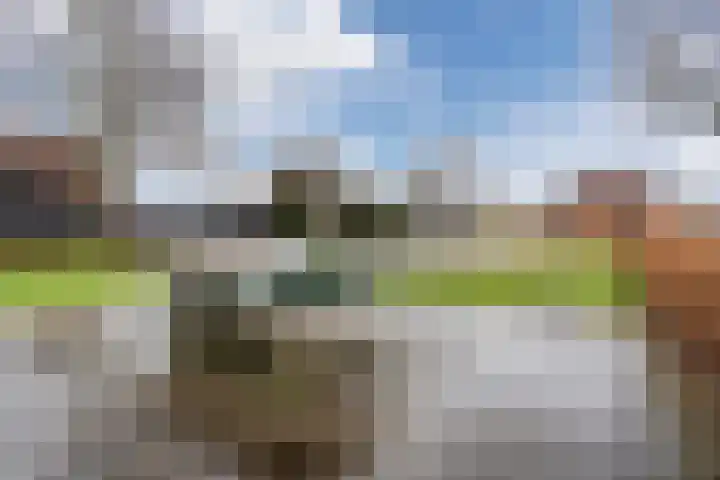 Zenithlaan 206 Hoogeveen thumbnail 39