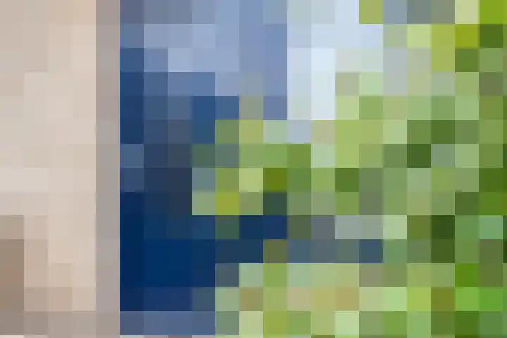 Zenithlaan 206 Hoogeveen thumbnail 4