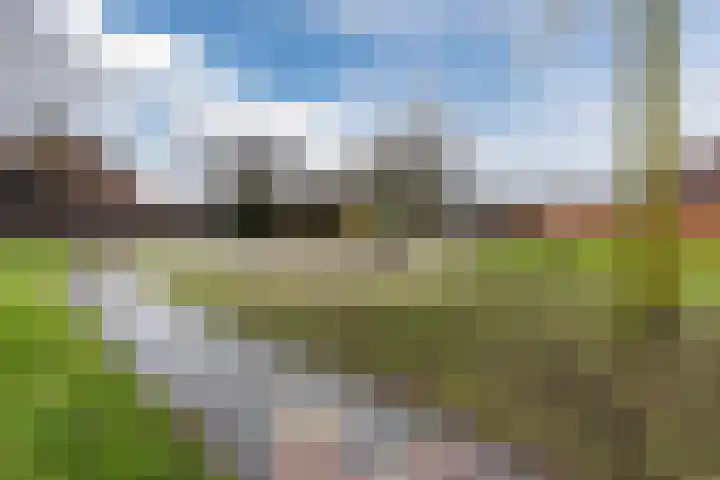 Zenithlaan 206 Hoogeveen thumbnail 40