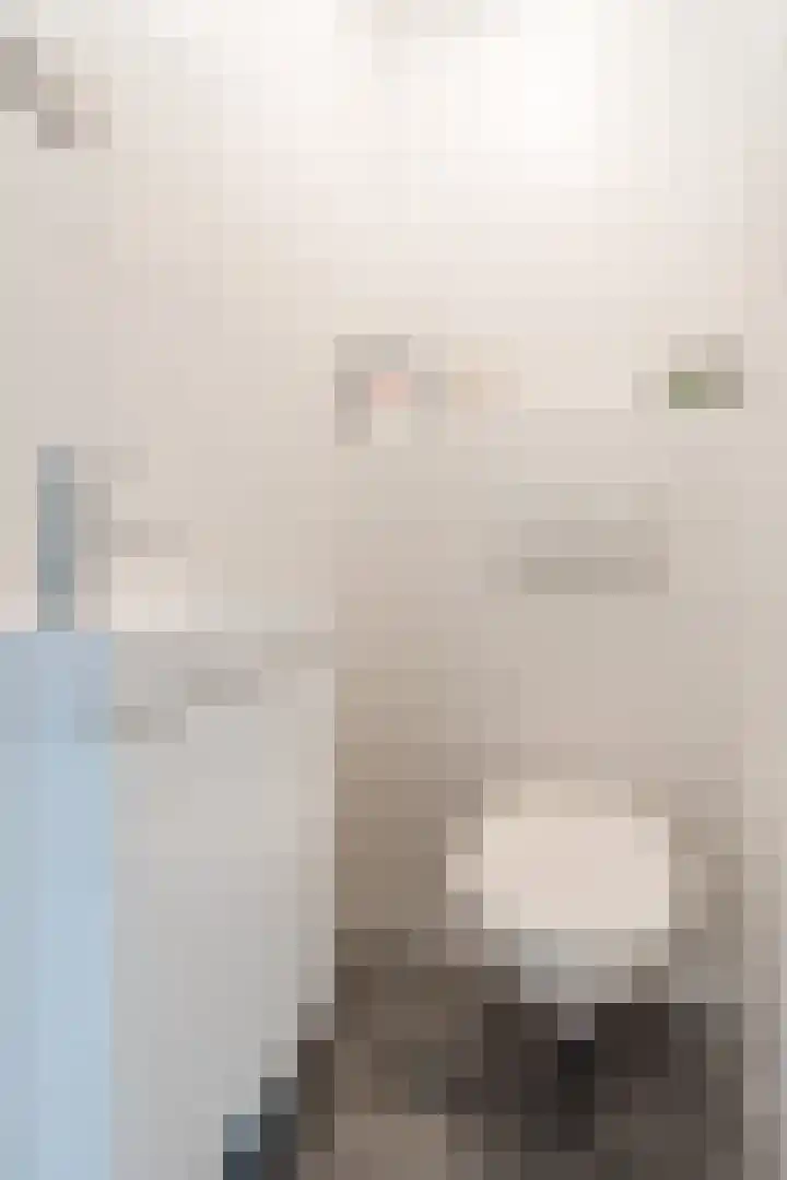 Zenithlaan 206 Hoogeveen thumbnail 7