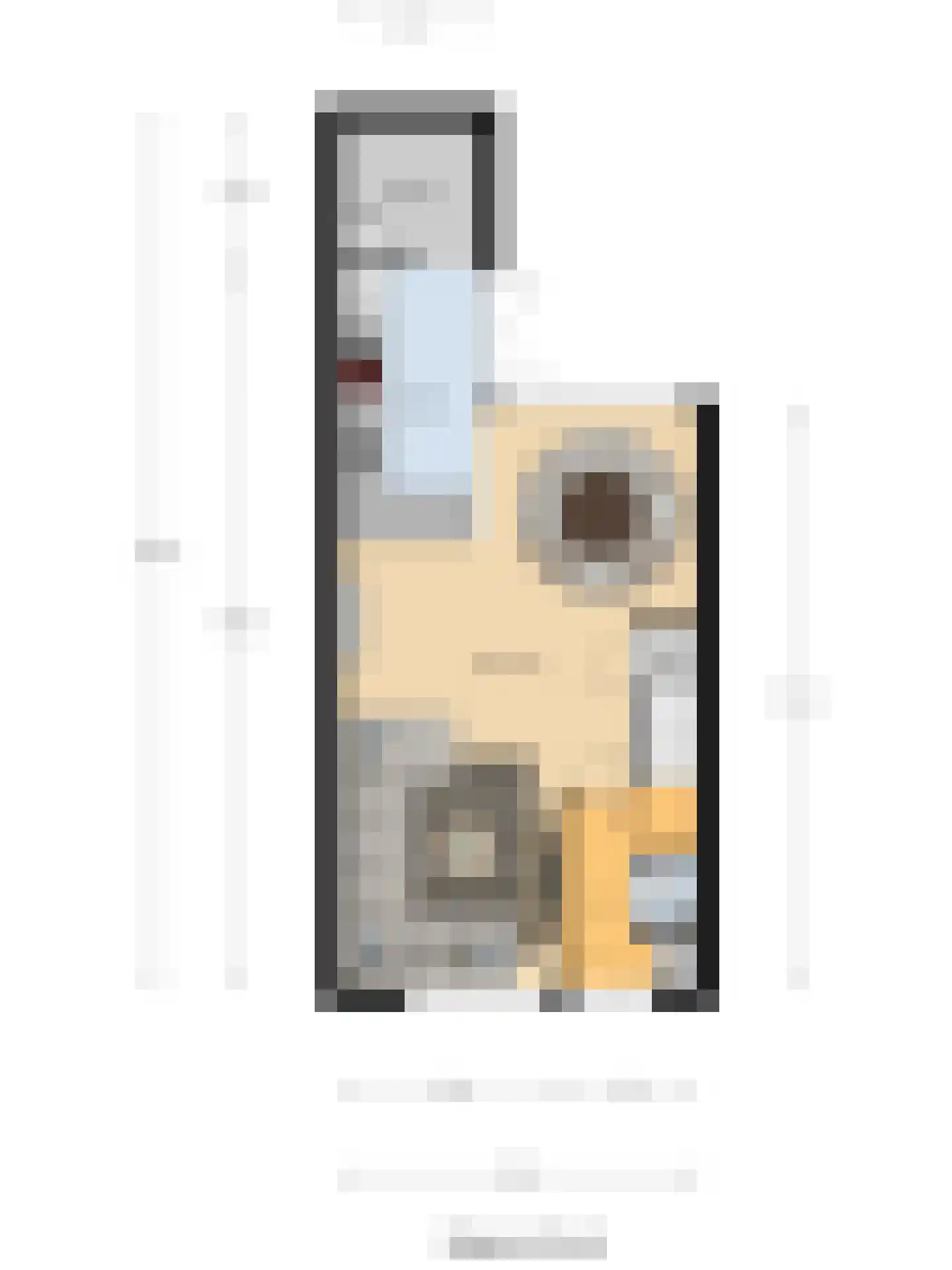 Zenithstraat 17 Utrecht thumbnail 33