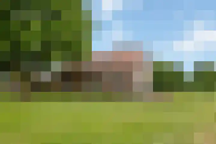 Zennepweg 21 Lemelerveld thumbnail 10