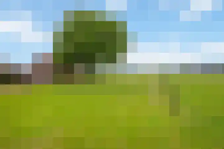 Zennepweg 21 Lemelerveld thumbnail 11