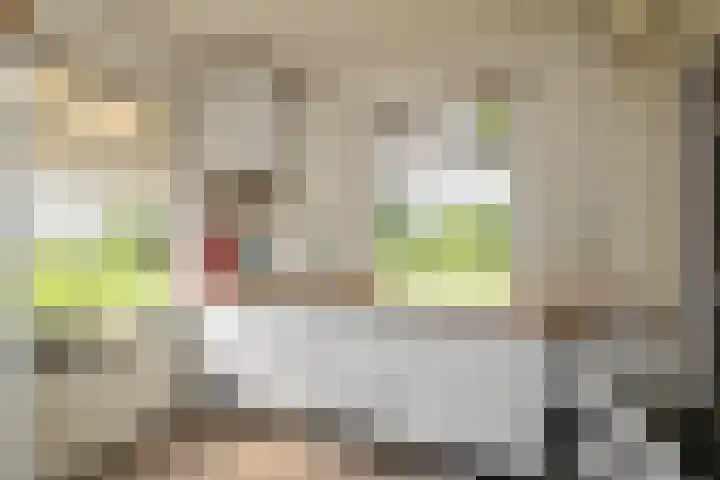 Zennepweg 21 Lemelerveld thumbnail 12