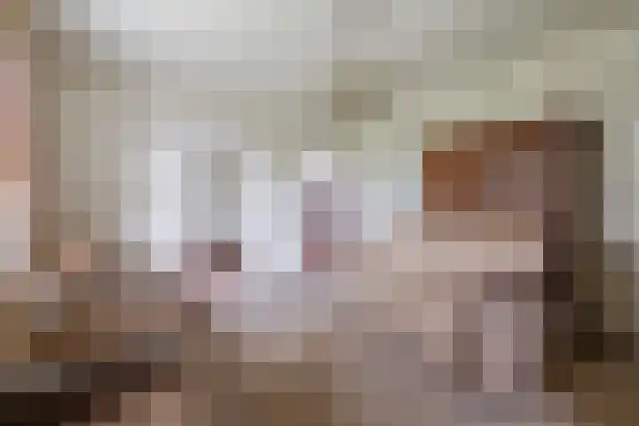 Zennepweg 21 Lemelerveld thumbnail 14