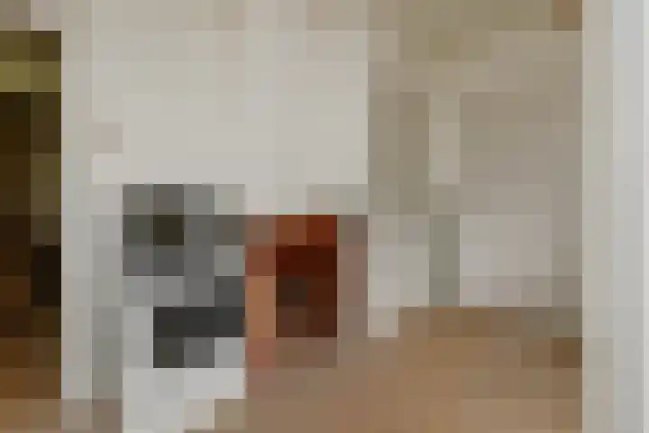 Zennepweg 21 Lemelerveld thumbnail 15